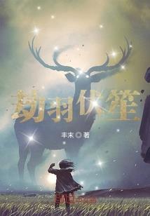 漆黑之森与异度之国