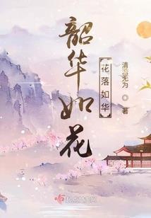 我可能读了本假小说