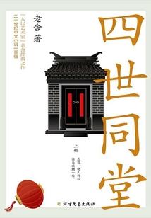 谴责录之精神病人的一生