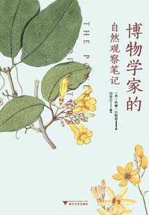 人世间的神仙警察