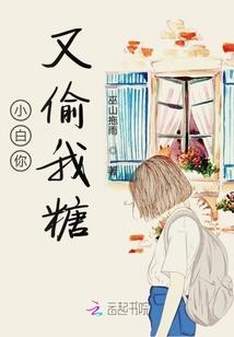 《那年夏天的歌》