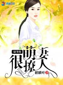 洛风世界