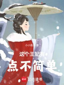 神奇宝贝小风