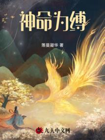 海贼：开局召唤呆毛王