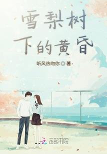 海贼王之升级系统