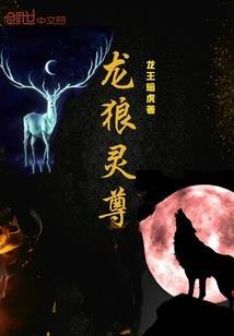 撩情总统，放肆宠！