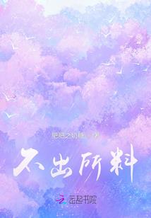 大聚雷手