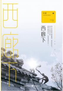 还珠之紫薇格格传奇