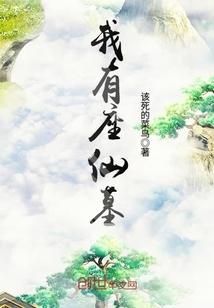 清穿之皇弟追妻记