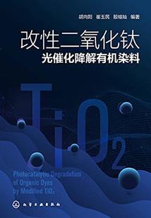 白色月光染流年