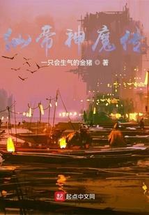 疯狂次元游戏