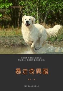 阴棺