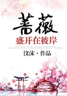 龙与伙伴的冒险