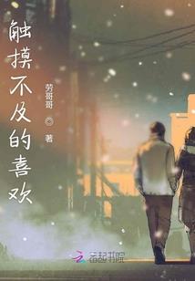 网王月影轻寒