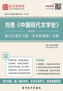 神奇宝贝之冠军的崛起