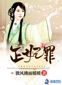 龙术师系列