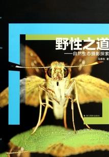 孝武中兴
