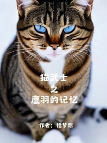 幻决之情