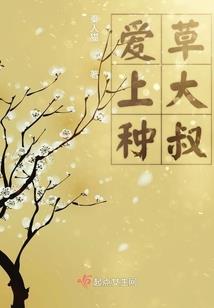 空有梦相随