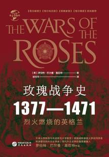 巫师：我能解析万物