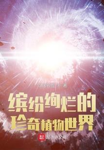 火影之武道人格