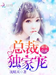 胧月手记