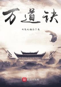 梦游百湖之城