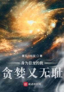 漂泊的孤心
