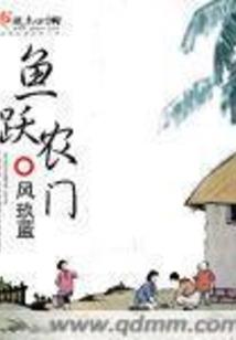 赛罗成长系统