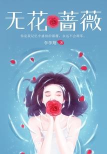 苦逼少年扫天下