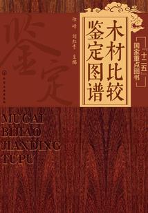 你好太平洋
