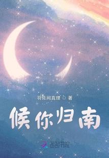 魂穿灵州：双枪拯救世界