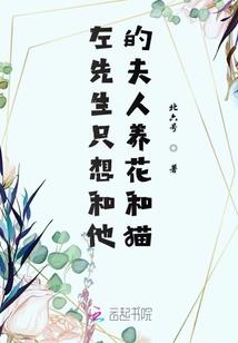 后来你成了仙