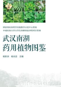 带着魔龙之心穿越
