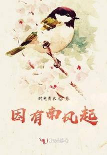 无华之影