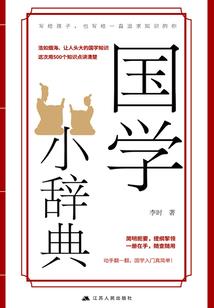 网瘾少年，中独少女
