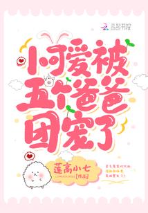 双面五王妃