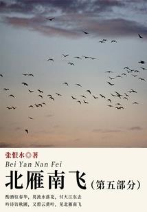 和你立于暖阳下