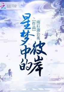 星空临