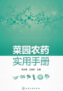 冬夜暖阳