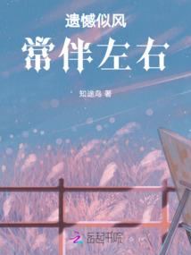 口袋妖怪夜之光