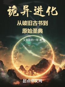 异世界的武装适配者