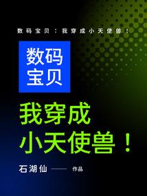 我的世界的奇妙冒险