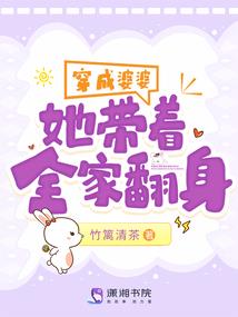 突袭贼寇