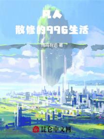 天盗传奇