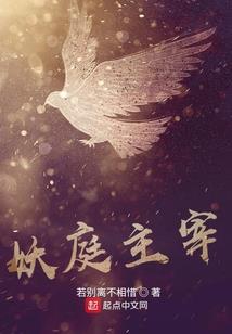 清宫之驸马爷不好惹