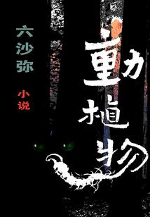 武破九极