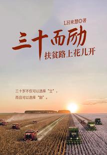 夕阳下的魔卡赛罗