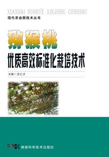 弑魔圣尊