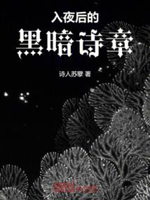 四傻去参加凹凸大赛